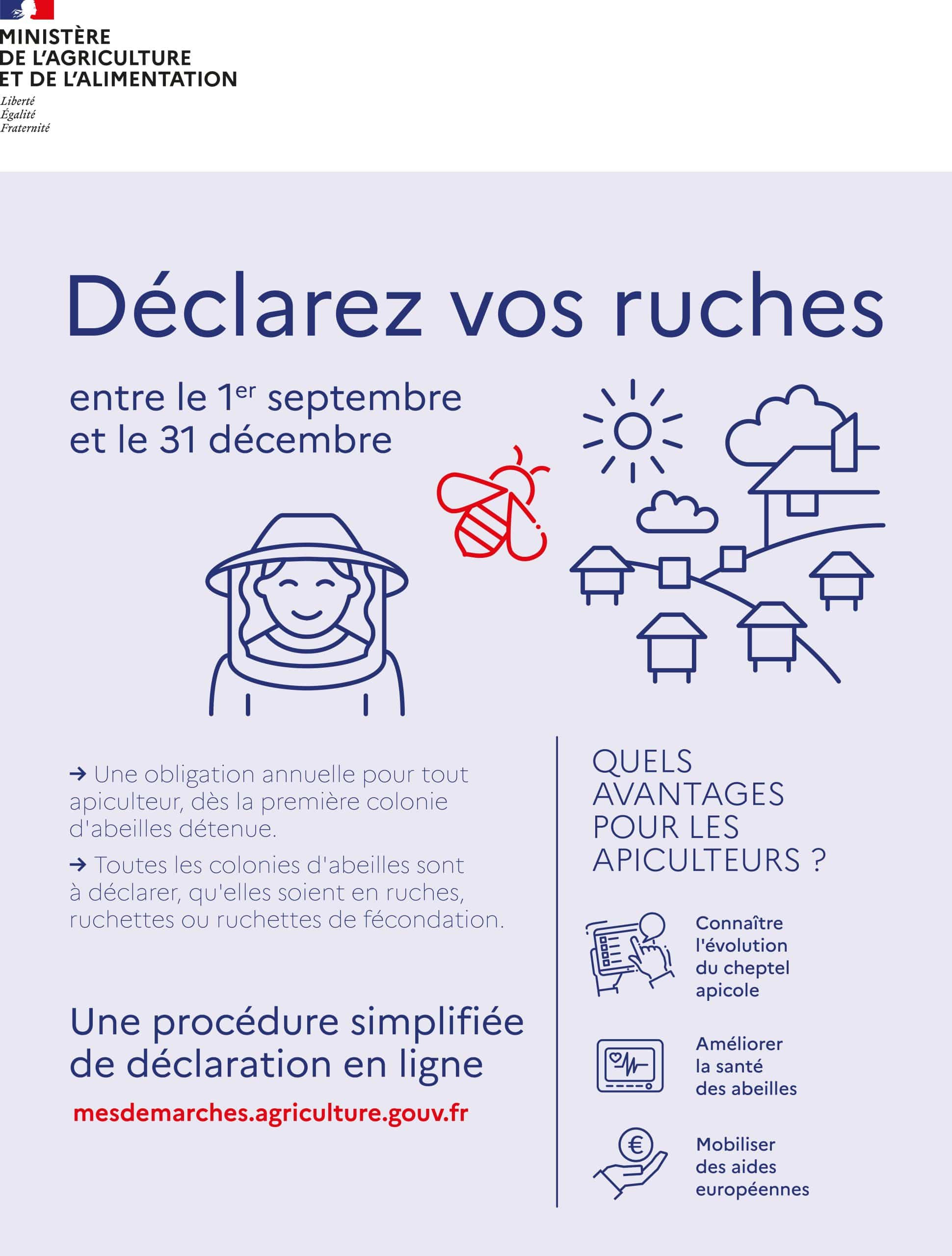 Plaquette_Declarer_une_ruche(1)