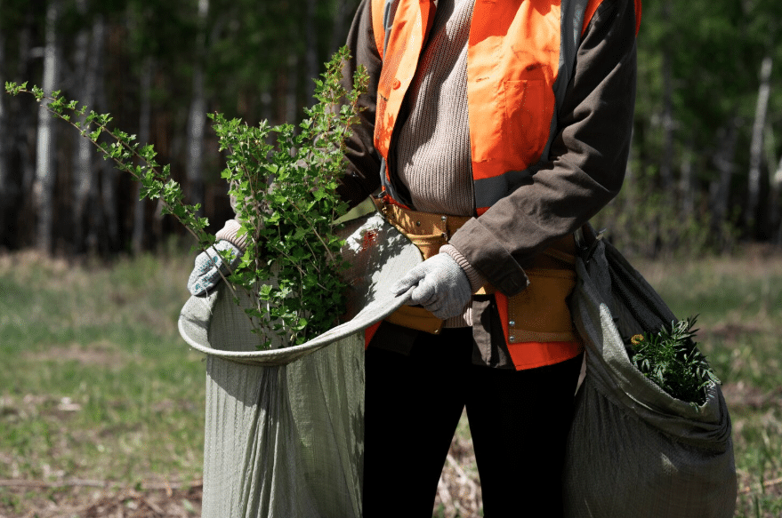 Capture d'écran 2026-02-09 140823